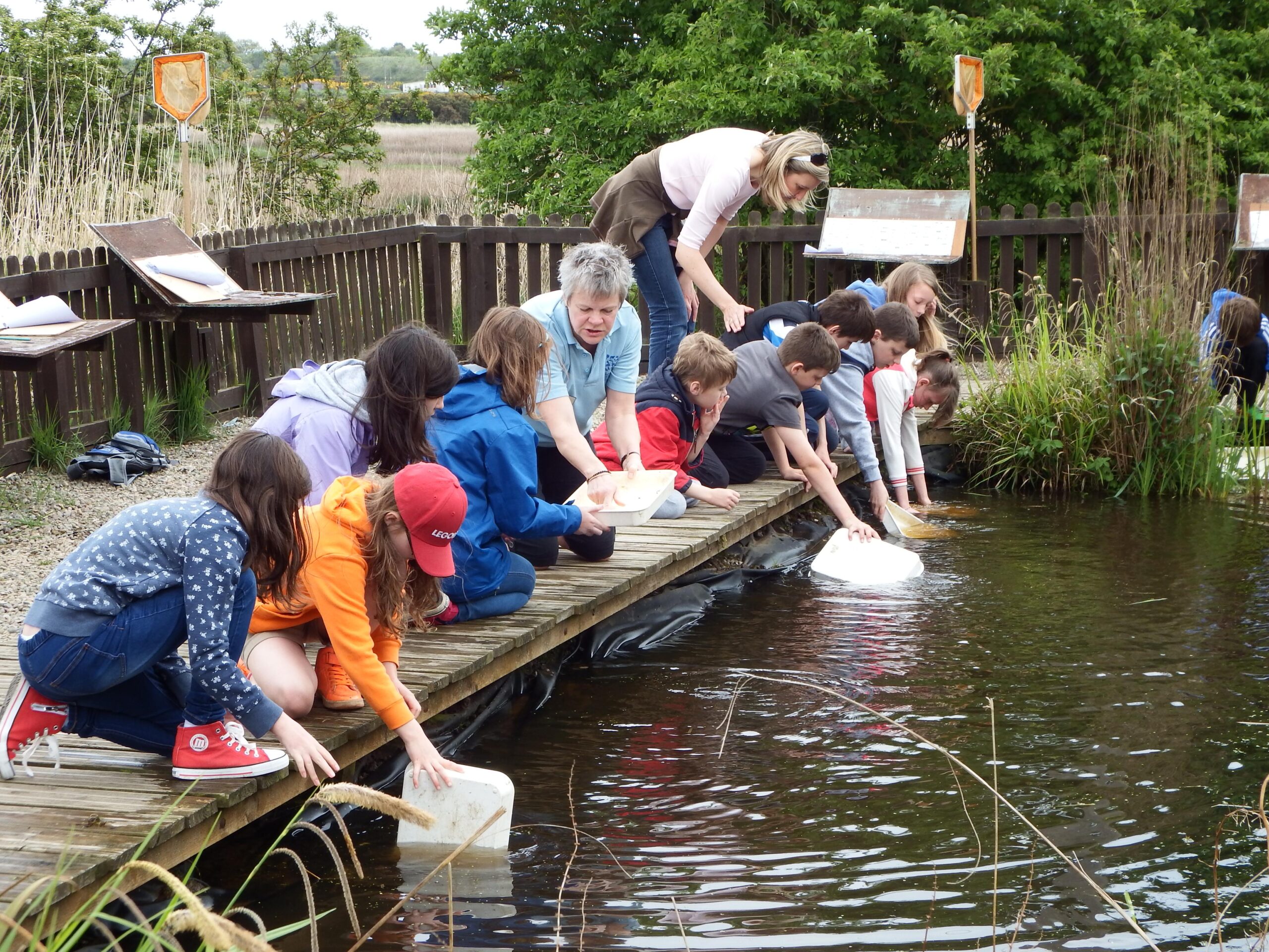 Big Wild Weekend - Pond Dipping | Scottish Wildlife Trust