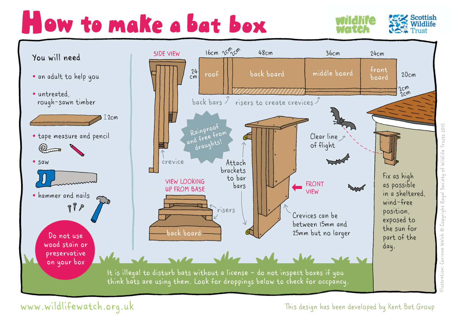 Make your own bat box | Scottish Wildlife Trust