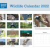 Back page calendar 2022