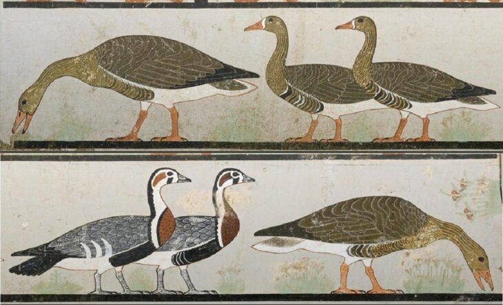 Egyptian geese in ancient Egyptian art