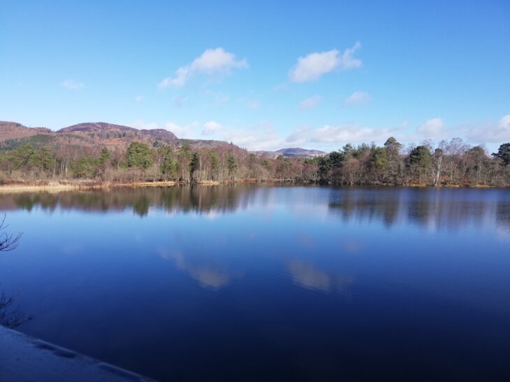 Loch of the Lowes view from upper hide