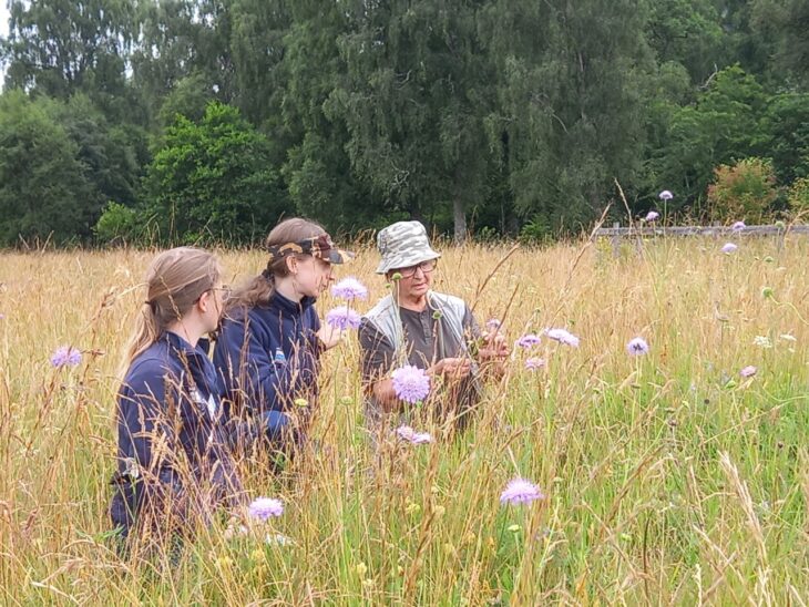 Botany expert Faith Anstey educating assistant rangers Emma and Charlotte about wildflower identification