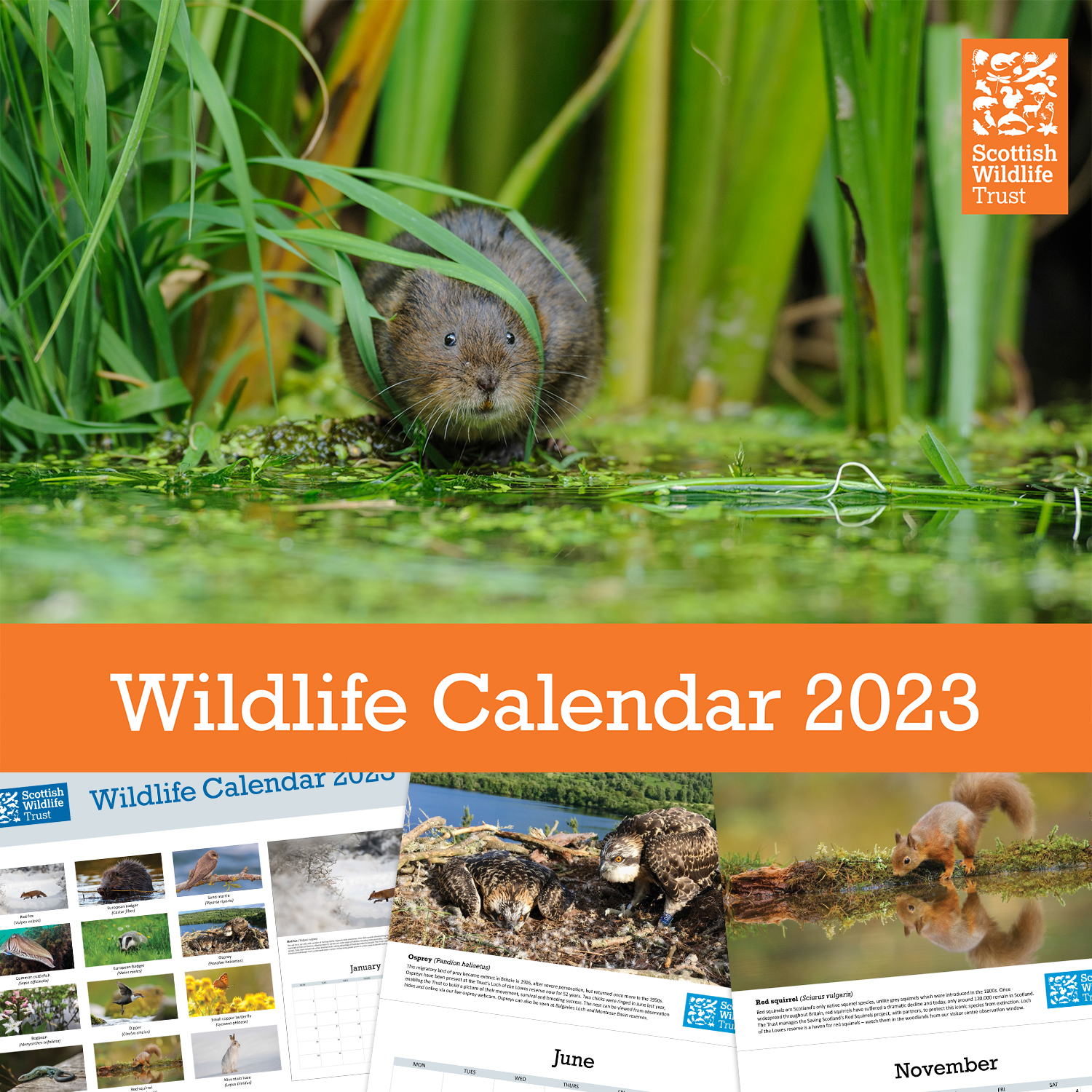 Wildlife Calendar 2023 | Shop | Scottish Wildlife Trust