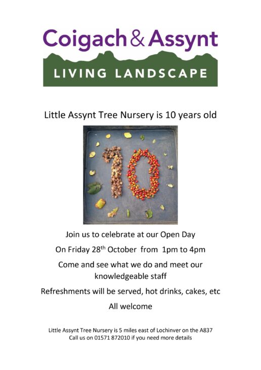 Little Assynt Tree Nursery is 10 years old