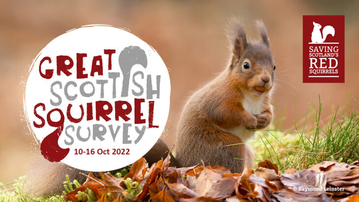 Great Scottish Squirrel Survey