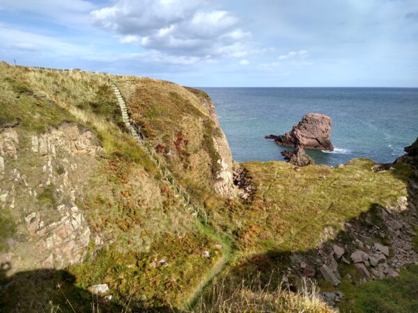 Installing new steps at Heathery Haven on Longhaven Cliffs Wildlife ...