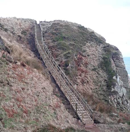 Longhaven Cliffs New Steps at Heathery Haven