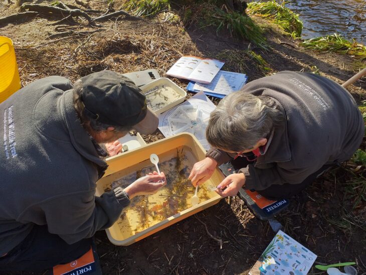 Volunteers seen sorting through a sample