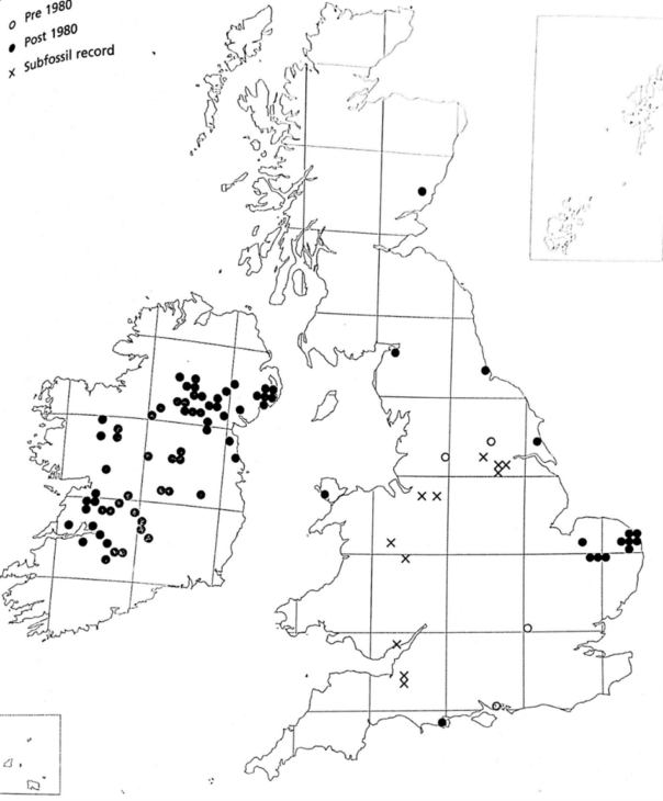 Water beetle map distribution 2022