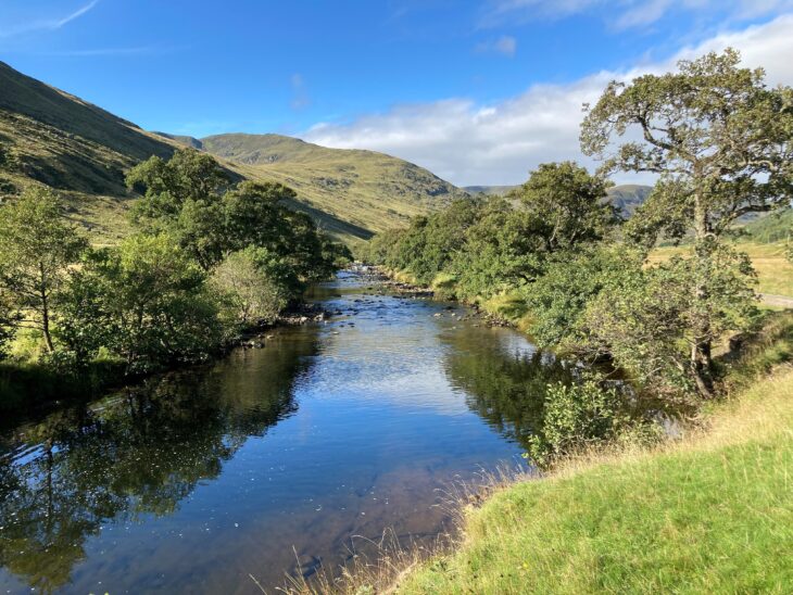 River Almond with alder trees on side of river