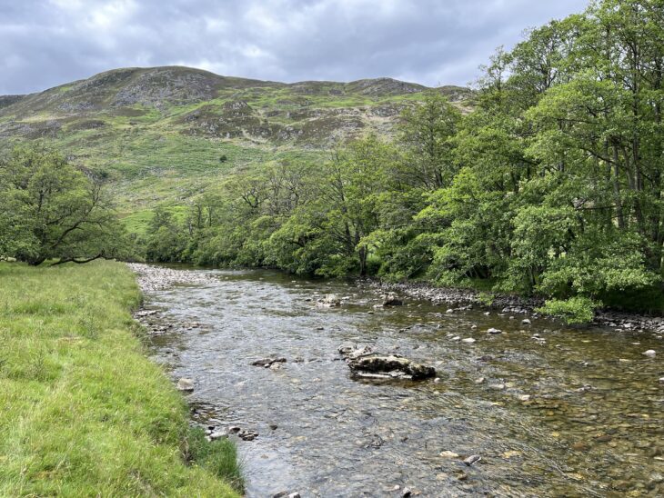 River Almond with trees