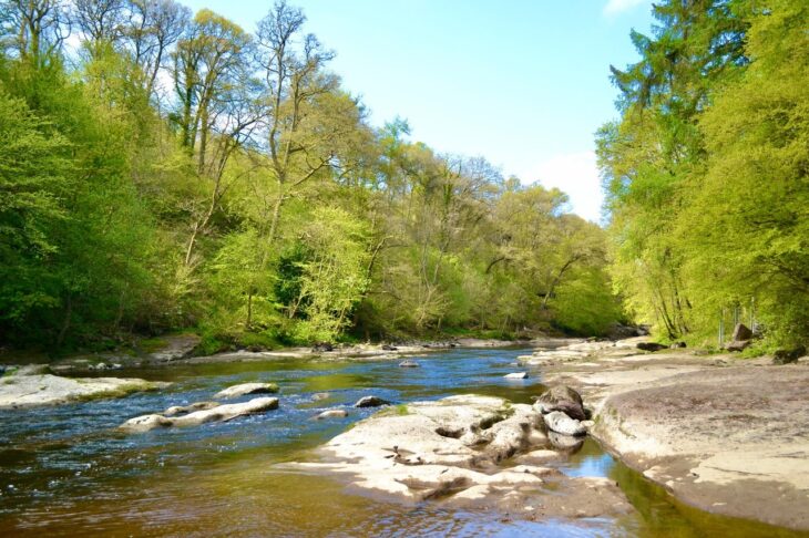 River Ericht with trees 