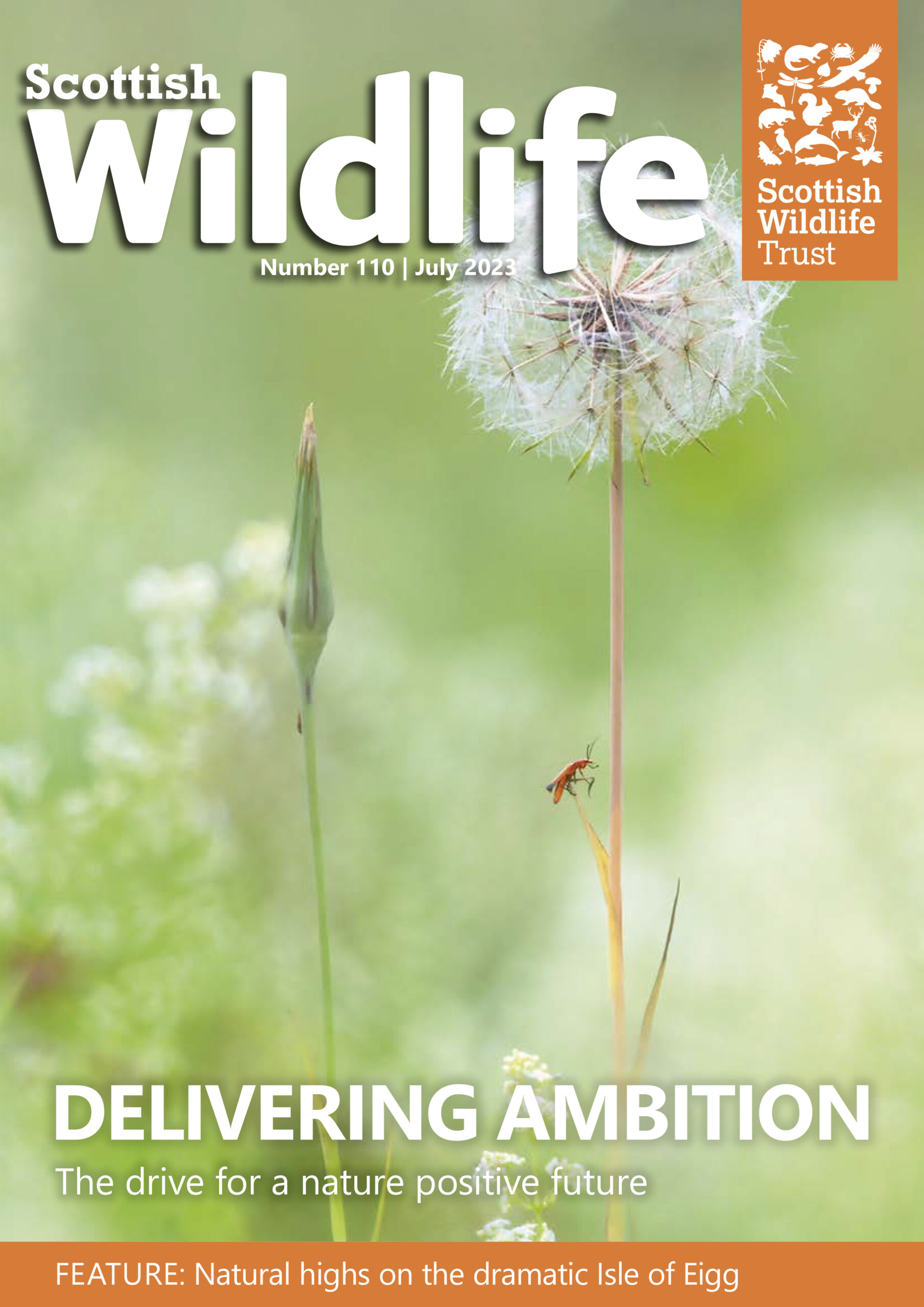 Scottish Wildlife Issue 110 | Scottish Wildlife Trust