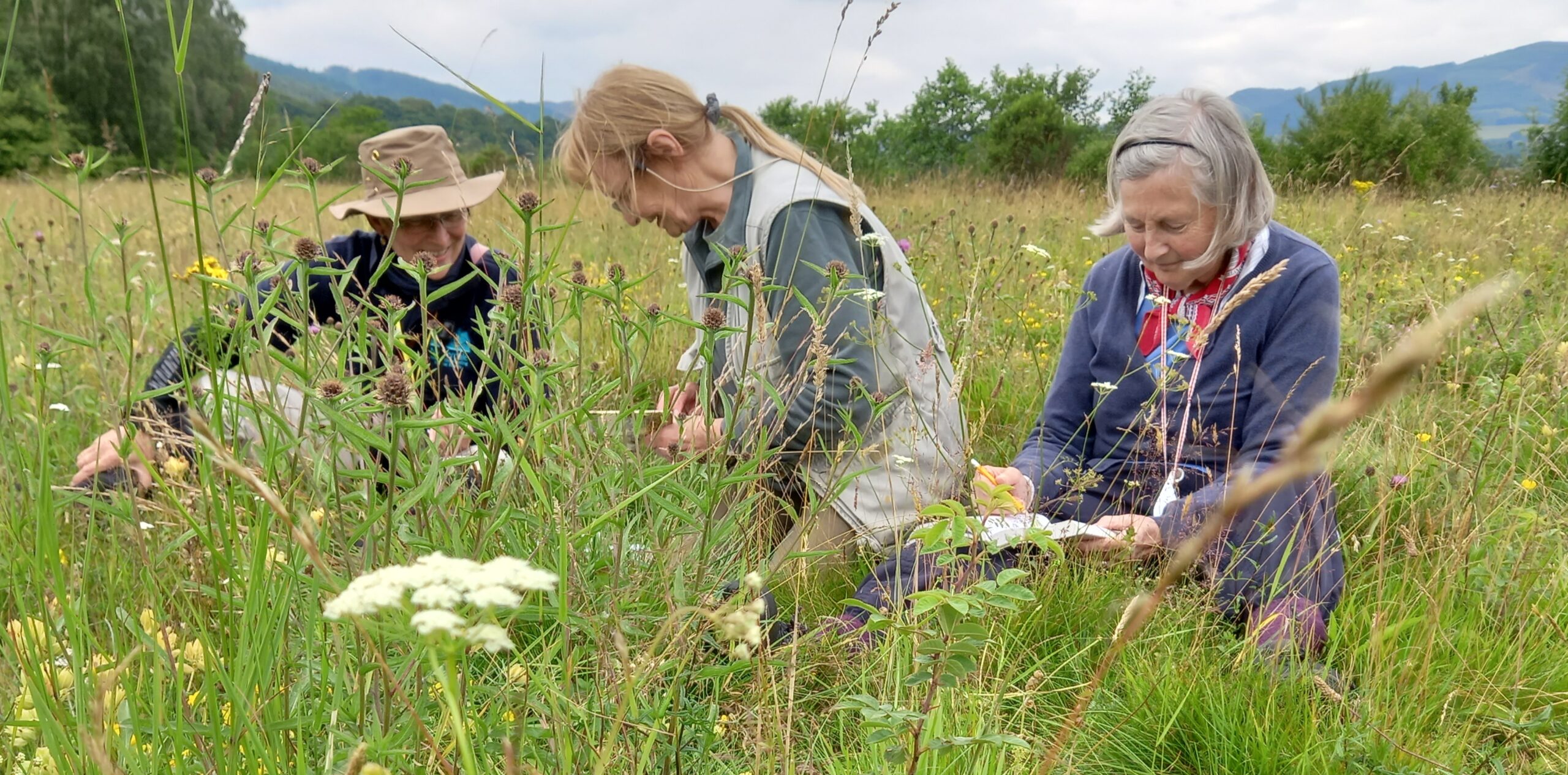 Ranger Round Up: Moths, Flowers, Beavers and More!