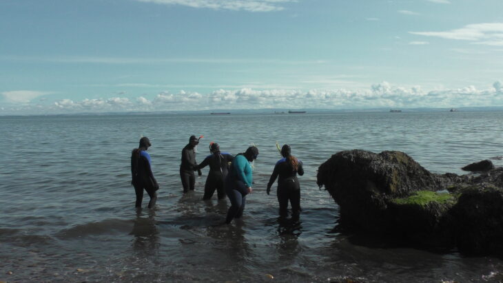 Guided snorkel trail session led by Genine Keogh, Founder of Snorkel Wild