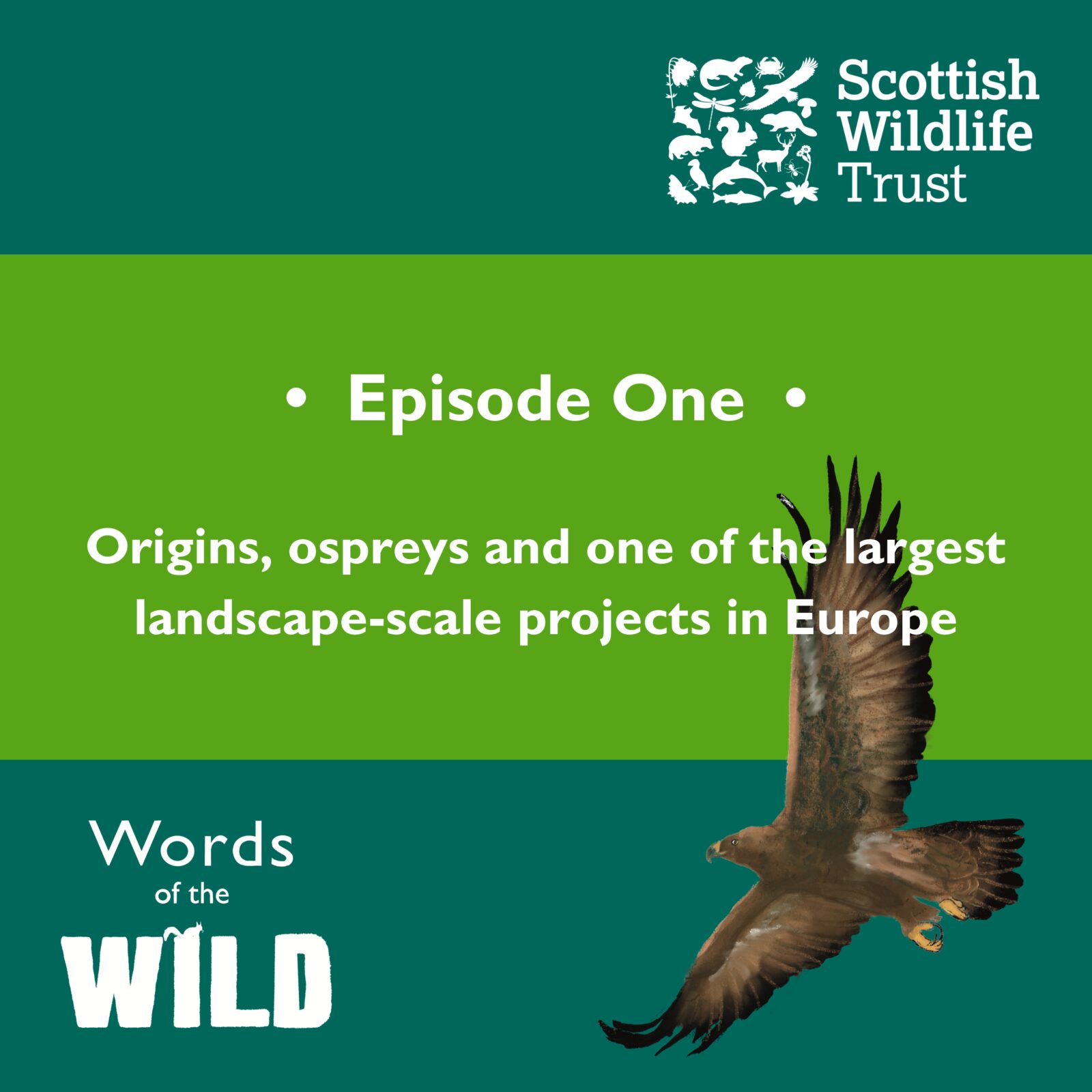 Scottish Wildlife Trust launches new Words of the Wild podcast ...