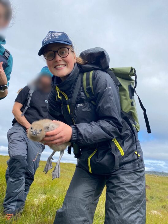 Scottish Wildlife Trust volunteer Daisy McDonald is ringing a great skua.