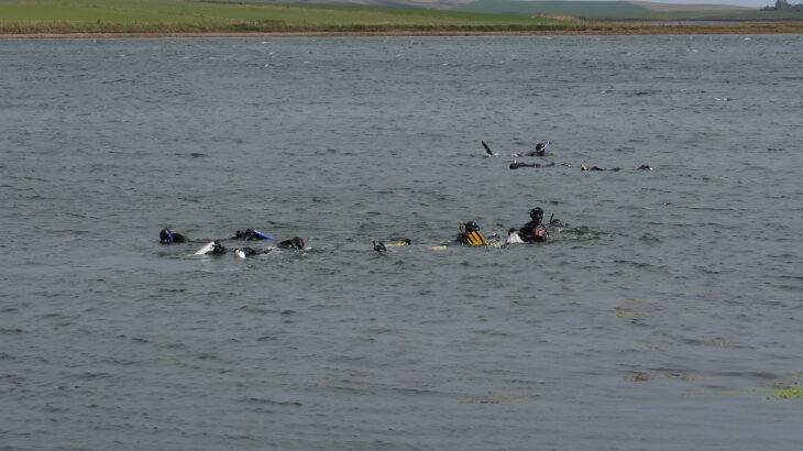 A view from above the water's surface of a group of snorkellers swimming