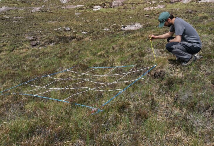 A man crouching next to a large grid on the grass. The grid is part of a habitat impact assessment.