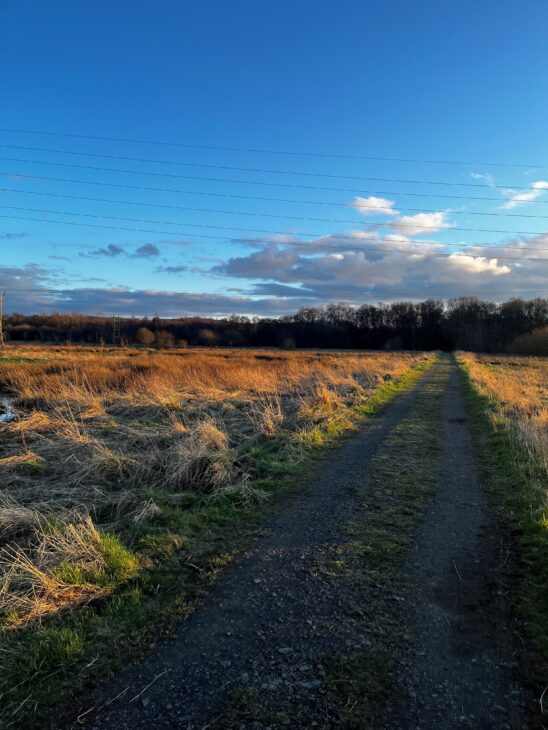 A long gravel track leading to a treeline. There is long grass on either side of the track and the sky above is blue and sunny.