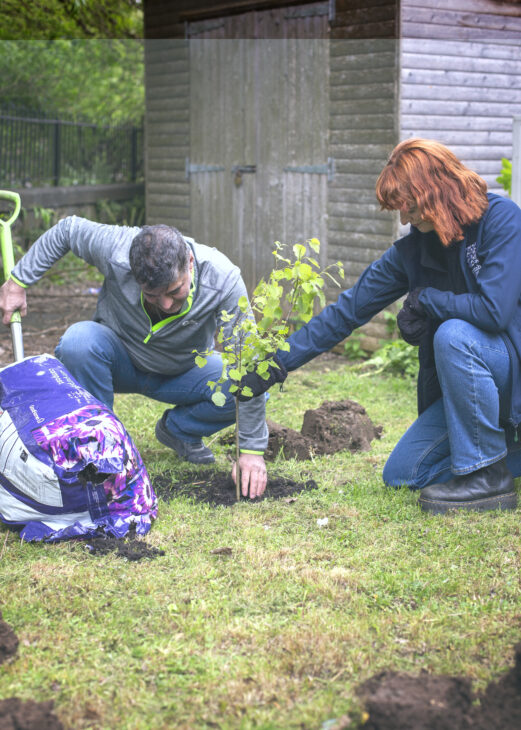 A man and woman planting a tree 