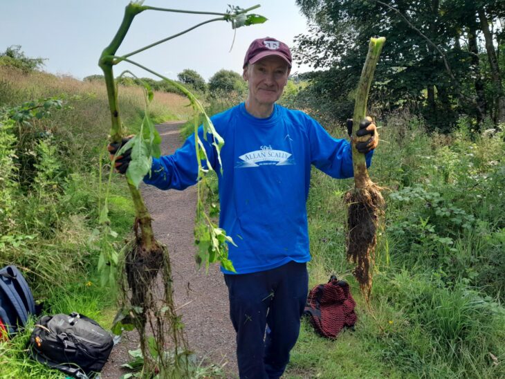 A volunteer holding up the remains of Himalayan balsam they've removed from amongst native plants.