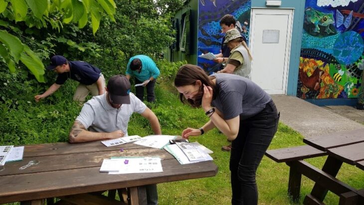 Two people look at wildflower identification charts on a table. In the background, other people look for wildflowers in the undergrowth.