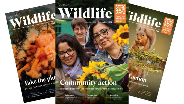 Three front covers of Scottish Wildlife magazine.