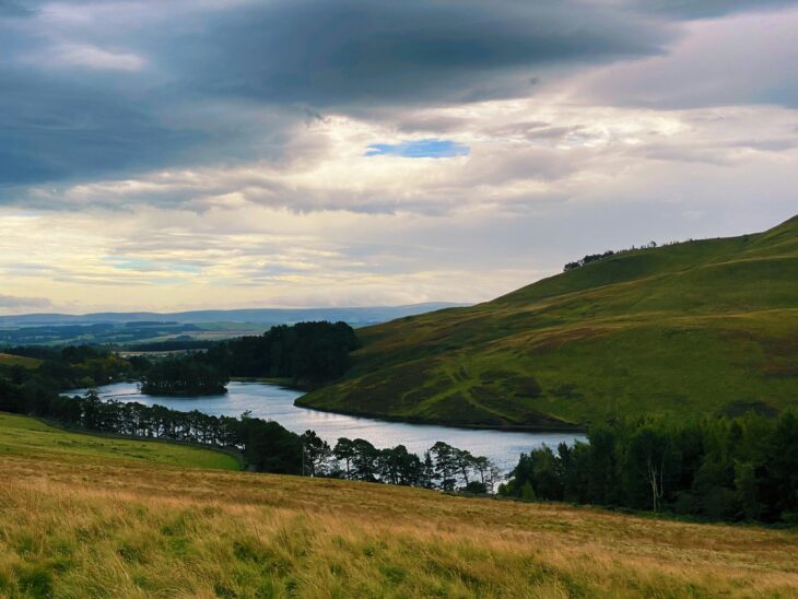 A river with riparian woodland creating a buffer to grazed hillsides.