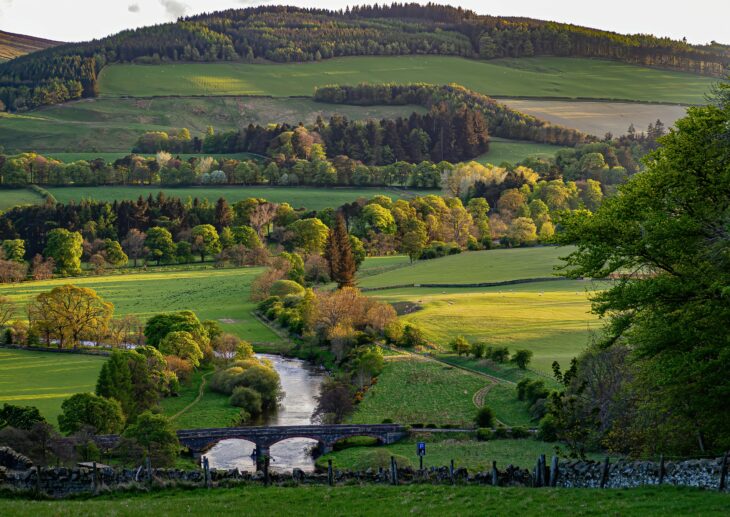 A river surrounded by riparian woodland and managed agricultural fields.