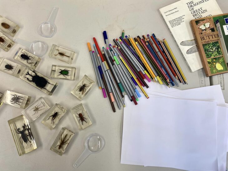 A selection of pencils, paper and insects contained within magnifying blocks.