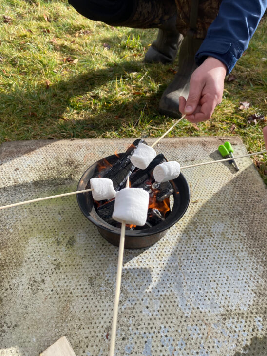 Marshmallows being held over a small fire.