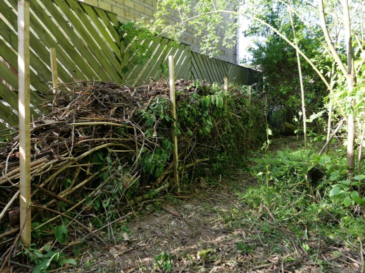 Dead branches and twigs piled up against a fence to make a dead hedge.