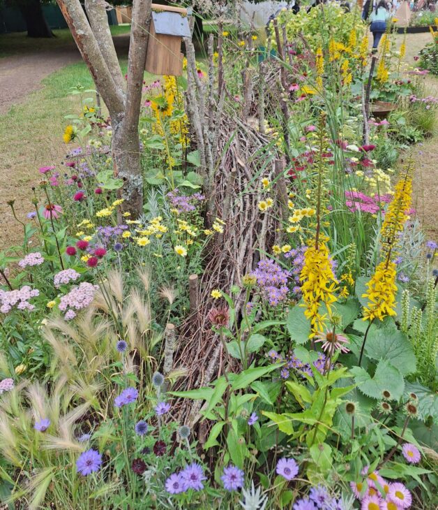 Dead hedge in wildlife garden surrounded by colourful wildflowers