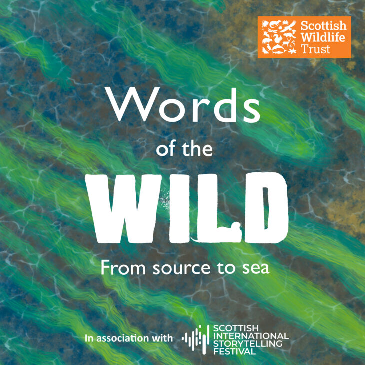 A logo which reads, "Words of the wild: From source to sea". It also includes logos of the Scottish Wildlife Trust and Scottish International Storytelling Festival. The background is an illustration of seagrass.