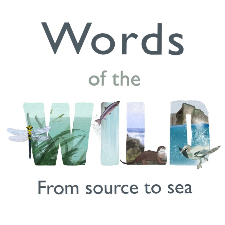 A logo which reads, "Words of the Wild: From source to sea". The word "wild" is designed in the colours of freshwater and marine habitats.