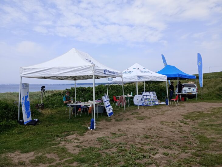 Several gazebos set up on a grassy area. The gazebos have the Scottish Wildlife Trust logo on and there are flags and displays about the local biodiversity. Behind the gazebos there is some scrubby bushes and a spotting scope looking out to the sea, visible in distance. Photo credit Scottish Wildlife Trust.