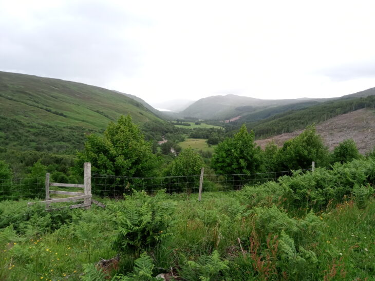 A view of the Inverbroom Estate in north-west Scotland. In the foreground there is long grass and ferns around a low livestock fence and stile. Beyond are small trees and the rolling hills of the glen. In the very distance, a loch can be seen in the mist.Photo taken by John Knox.