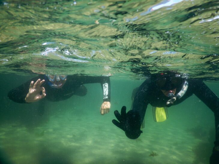Two snorkellers giving an "ok" sign underwater.