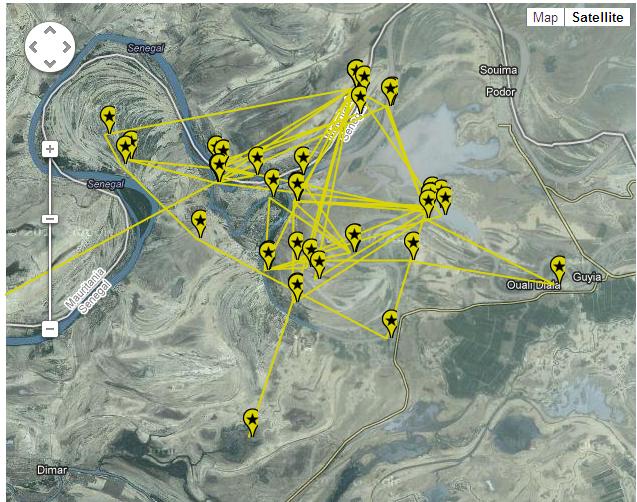 osprey migration tracking