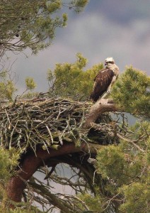 By Neil Macdonald March 30th 2013