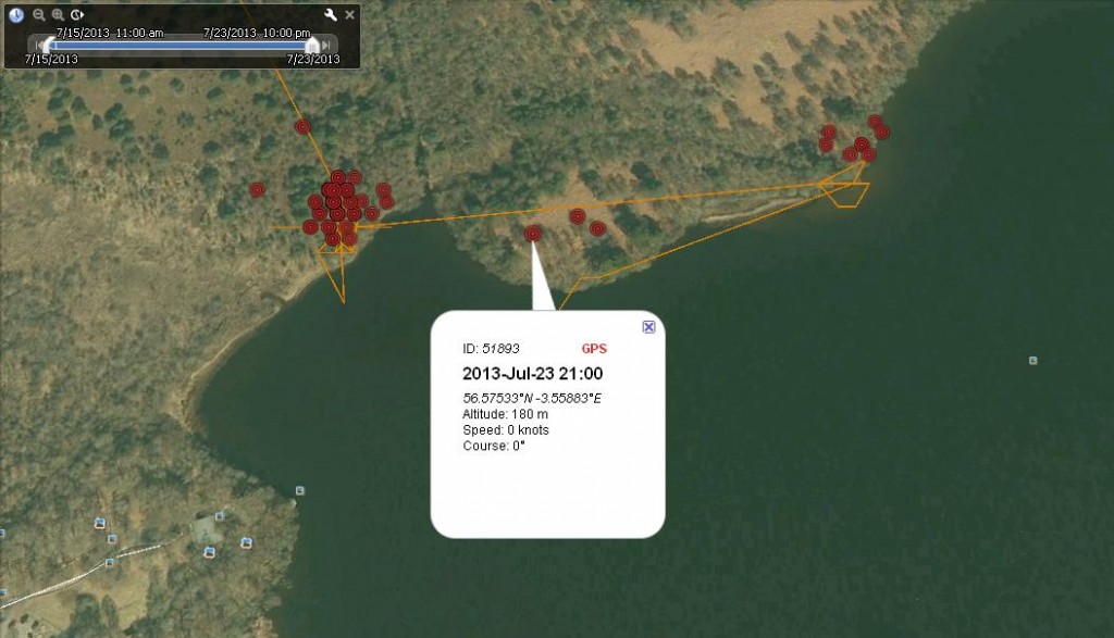 Blue YZ's movements around the loch since fledging 23rd July 2013- copyright SWT