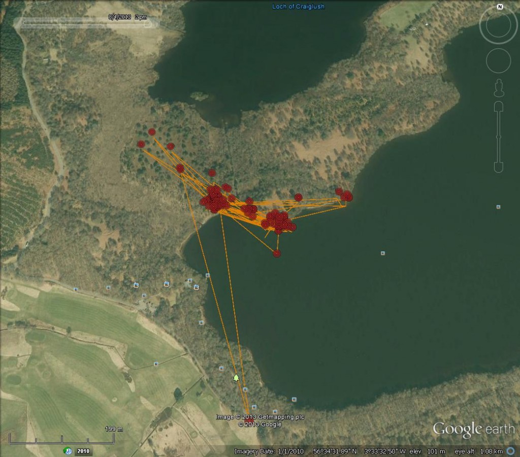 Blue YZ's movements around Loch of the Lowes early August 2013- copyright SWT