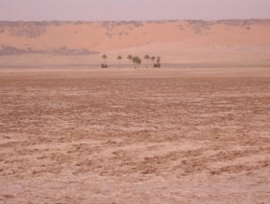 Dune edges in Mauritania