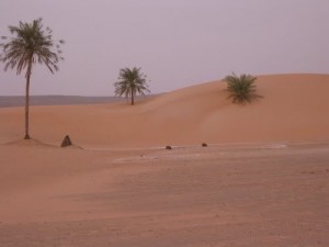 Sand Dunes in Mauritania