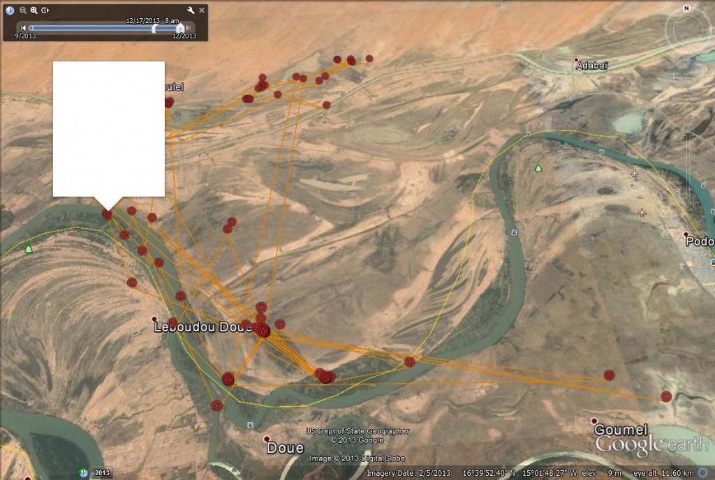 Blue YD movements to 17th December, SWT