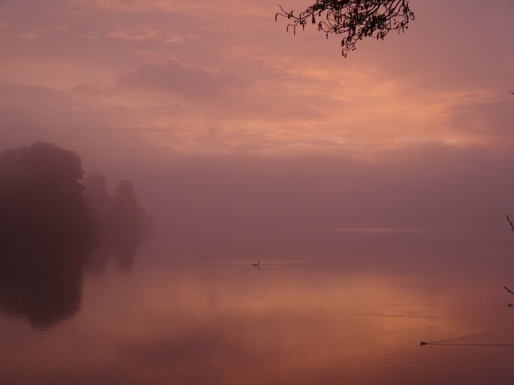 Loch of the Lowes at Dawn 5th April by Emma Rawling