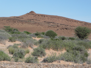 Western Sahara