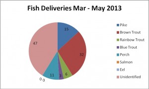 52 days of fish deliveries, from 30th March – 20th May 2013.   