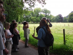 Guided Walk with Ranger Emma